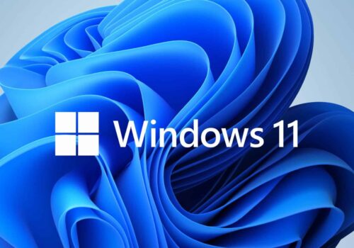 Windows 11 logo